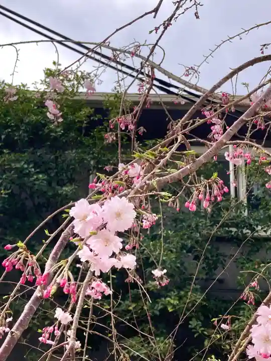 鳥飼八幡宮(福岡県)