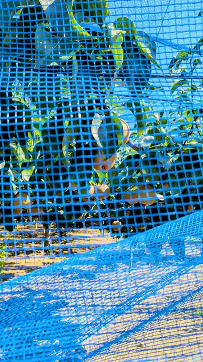 七百餘所神社 の周辺
