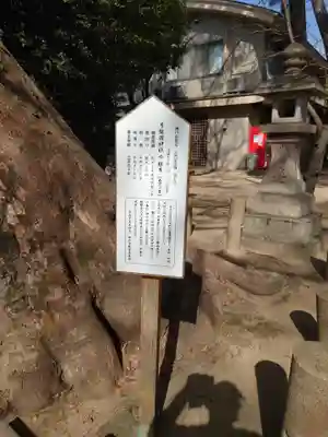 弓弦羽神社(兵庫県)