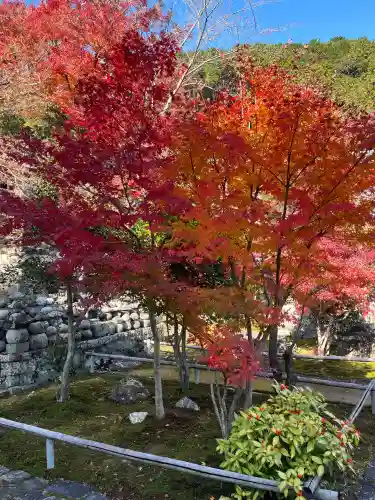 行基寺(岐阜県)