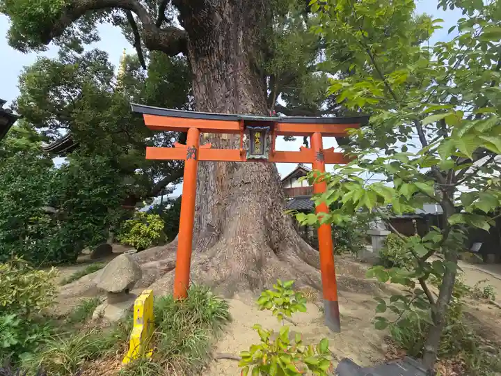 法楽寺(大阪府)