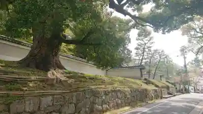 青蓮院門跡のその他建物