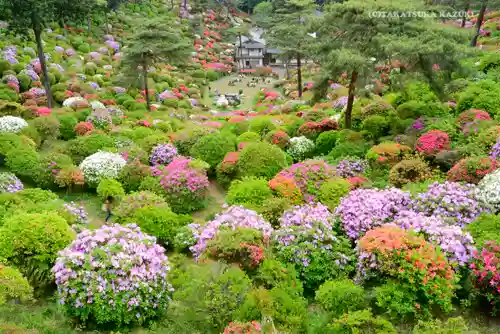 塩船観音寺の景色