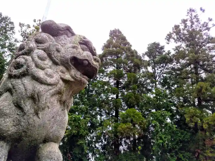 市杵島姫神社の狛犬