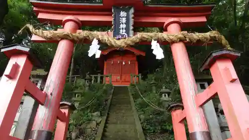 柳澤神社の鳥居