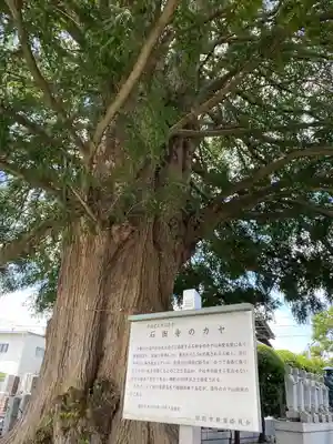 石田寺(東京都)