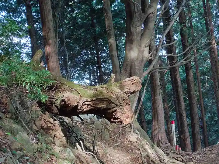 大山阿夫利神社本社(神奈川県)