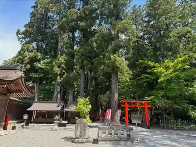 多賀大社(滋賀県)