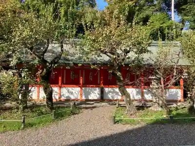 北野天満宮(京都府)