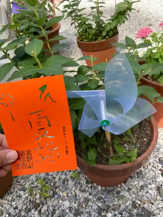 普門寺(切り絵御朱印発祥の寺)の御朱印