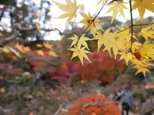 洞窟観音・徳明園・山徳記念館の景色