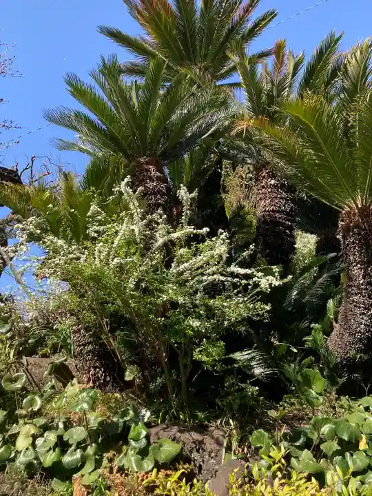 光照寺(神奈川県)