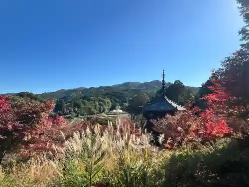 常樂寺(滋賀県)