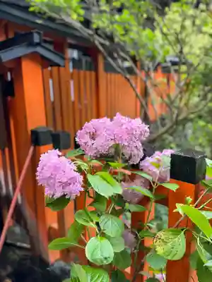 伏見稲荷大社(京都府)