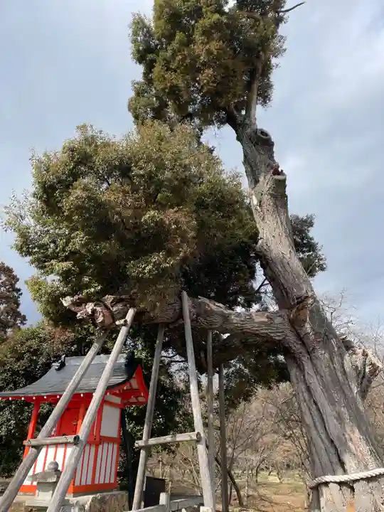 大覚寺(京都府)