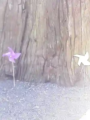 高司神社〜むすびの神の鎮まる社〜の授与品その他