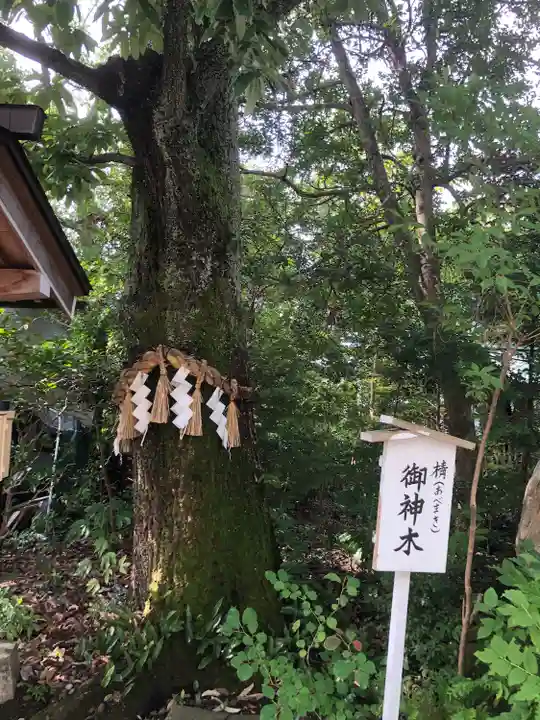 須天熊野神社(石川県)