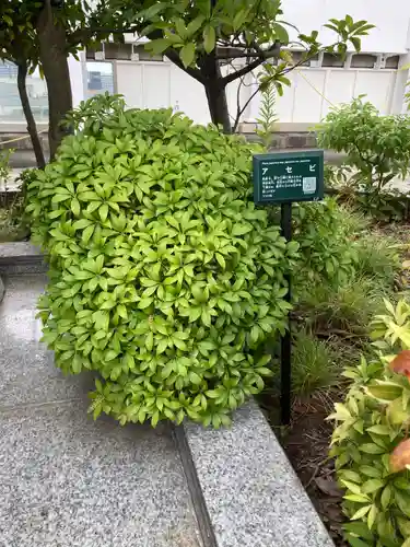 稲荷大明神（そごう横浜店・屋上）(神奈川県)