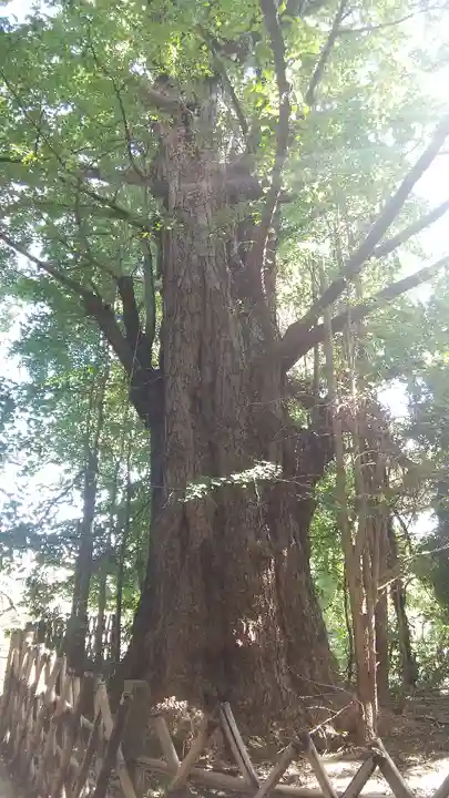 王子神社(東京都)