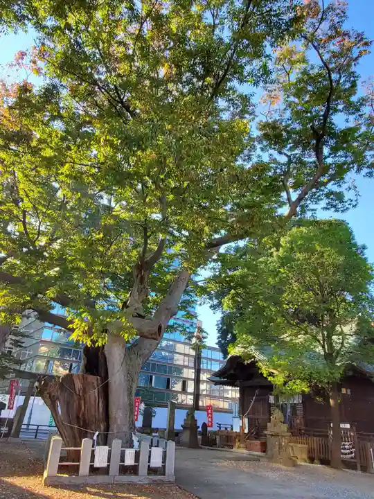 阿邪訶根神社の自然