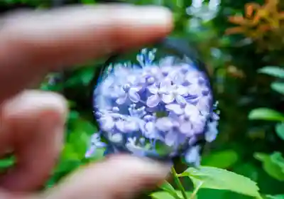 東大寺別院阿弥陀寺(山口県)