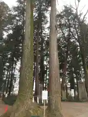 大神神社の自然