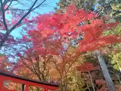 大原野神社(京都府)