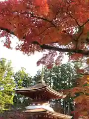 高野山金剛峯寺(和歌山県)