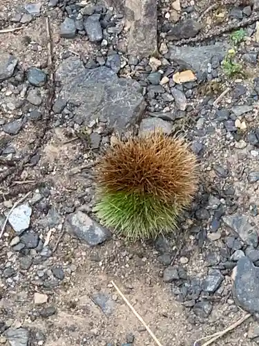 八坂神社(岩手県)