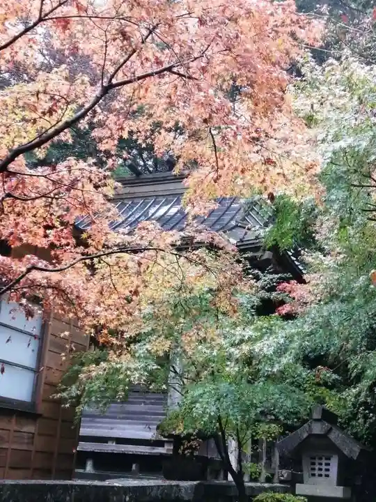五所駒瀧神社の自然