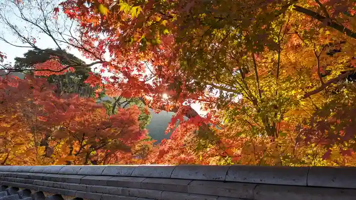 禅林寺(永観堂)(京都府)