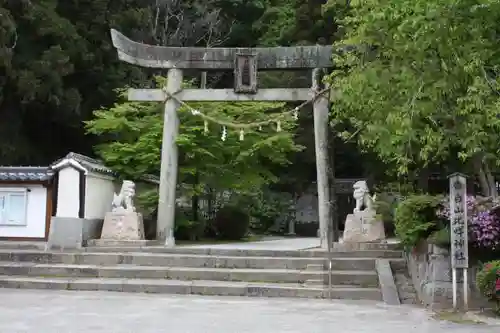 白山比咩神社の鳥居