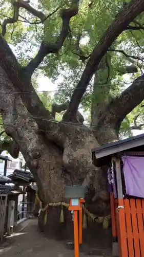 三島神社(大阪府)