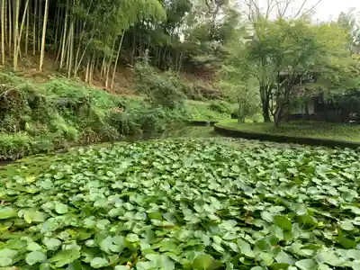 知足院(千葉県)