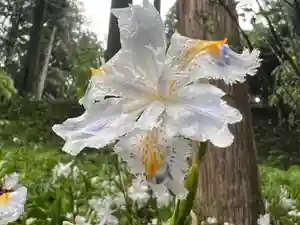 大宮温泉神社(栃木県)(2023年04月26日(水) 18時11分30秒投稿)