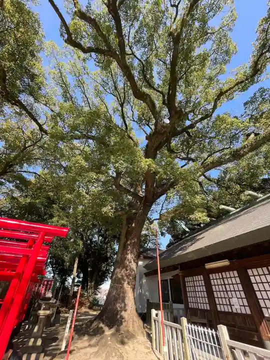 熊野三社(愛知県)