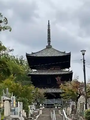 くろ谷 金戒光明寺(京都府)