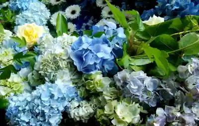 発寒神社の手水舎