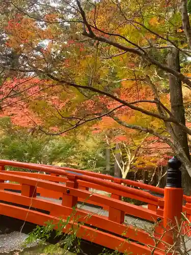 小國神社(静岡県)