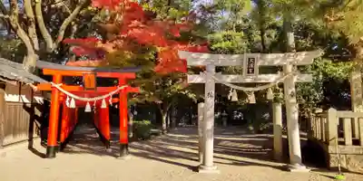 亀之森住吉神社(大阪府)