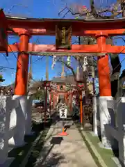 塚越稲荷神社の鳥居