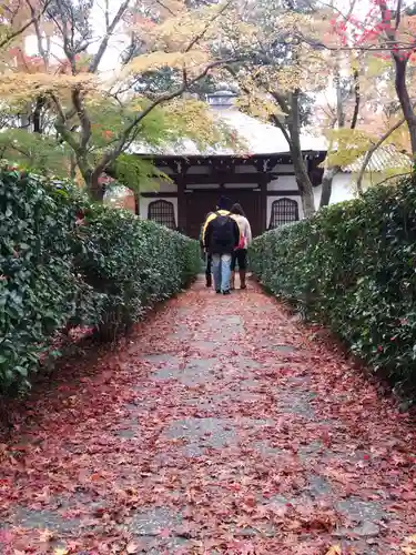 真正極楽寺（真如堂）の景色