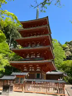 長谷寺(奈良県)