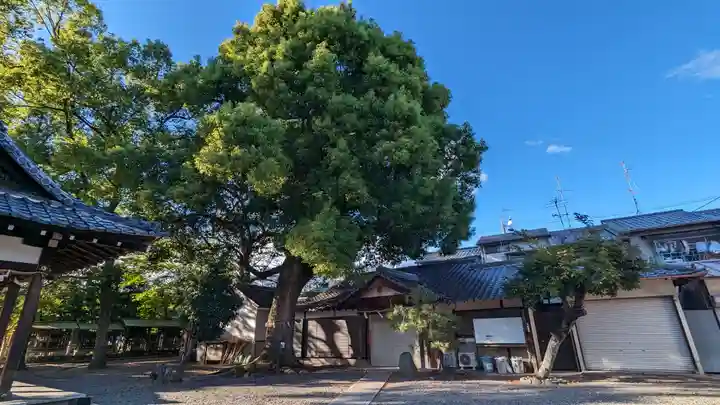(上桂)御霊神社(京都府)