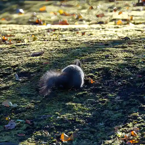 美幌神社(北海道)