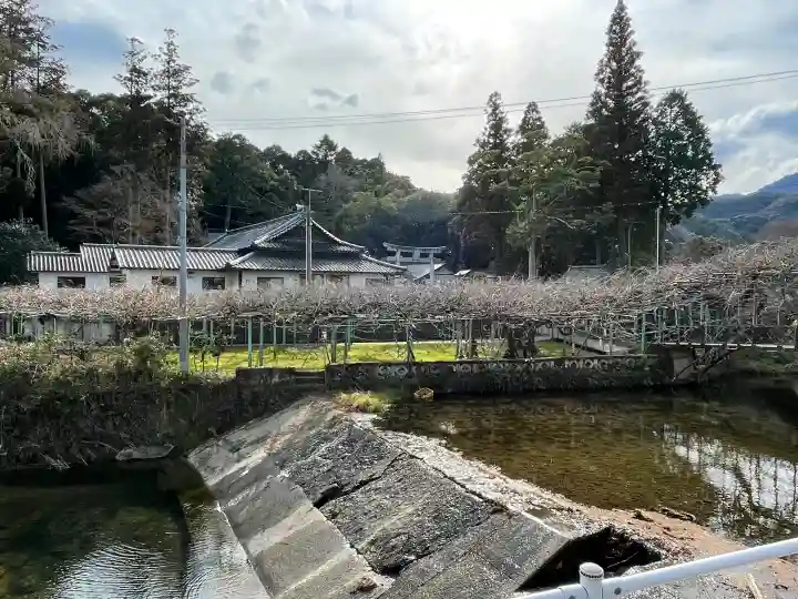 西寒多神社の{uncategorized: "未分類", other: "その他", undefined: "問題あり", building: "その他建物", grave: "お墓", sacred_gate: "鳥居", guardian: "狛犬", statue: "像", buddha: "仏像", history: "歴史", nature: "自然", garden: "庭園", animal: "動物", pagoda: "塔", temizu: "手水舎", mountain_gate: "山門・神門", sanctuary: "本殿・本堂", subordinate: "末社・摂社", art: "芸術", scenery: "景色", jizo: "地蔵", ema: "絵馬", goshuin: "御朱印", omikuji: "おみくじ", items: "授与品その他", amulet: "お守り", goshuincho: "御朱印帳", eats: "食事", festival: "お祭り", votive_dance: "神楽", shichigosan: "七五三参", wedding: "結婚式", experience: "体験その他", initially: "初詣", around: "周辺", anti_infection: "感染症対策"}
