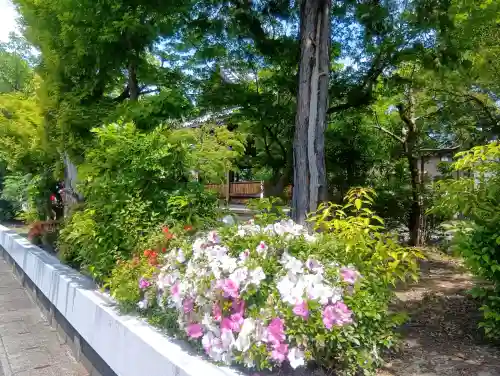 墨俣神社の{uncategorized: "未分類", other: "その他", undefined: "問題あり", building: "その他建物", grave: "お墓", sacred_gate: "鳥居", guardian: "狛犬", statue: "像", buddha: "仏像", history: "歴史", nature: "自然", garden: "庭園", animal: "動物", pagoda: "塔", temizu: "手水舎", mountain_gate: "山門・神門", sanctuary: "本殿・本堂", subordinate: "末社・摂社", art: "芸術", scenery: "景色", jizo: "地蔵", ema: "絵馬", goshuin: "御朱印", omikuji: "おみくじ", items: "授与品その他", amulet: "お守り", goshuincho: "御朱印帳", eats: "食事", festival: "お祭り", votive_dance: "神楽", shichigosan: "七五三参", wedding: "結婚式", experience: "体験その他", initially: "初詣", around: "周辺", anti_infection: "感染症対策"}