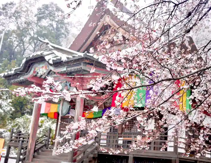 埼玉厄除け開運大師・龍泉寺(切り絵御朱印発祥の寺)の自然