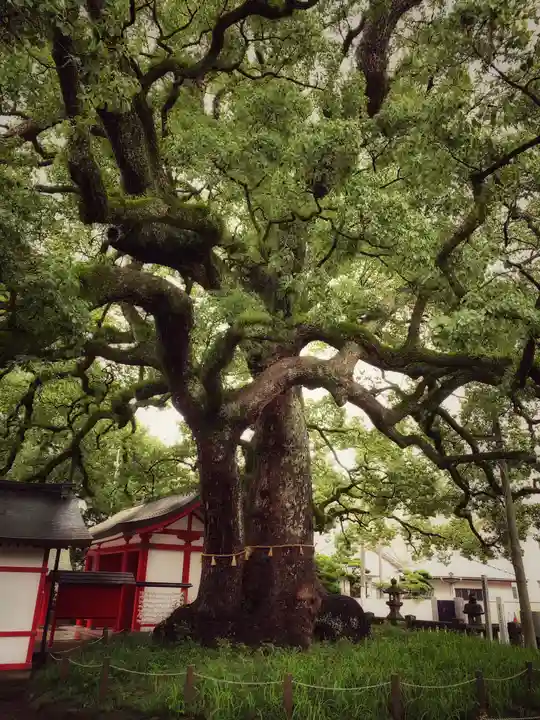 春日神社のその他建物