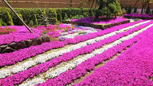寿量山　速成寺の自然